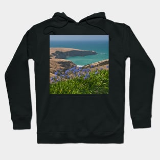 Banks Peninsula Hoodie